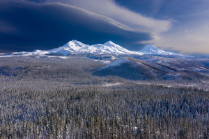 WINTER