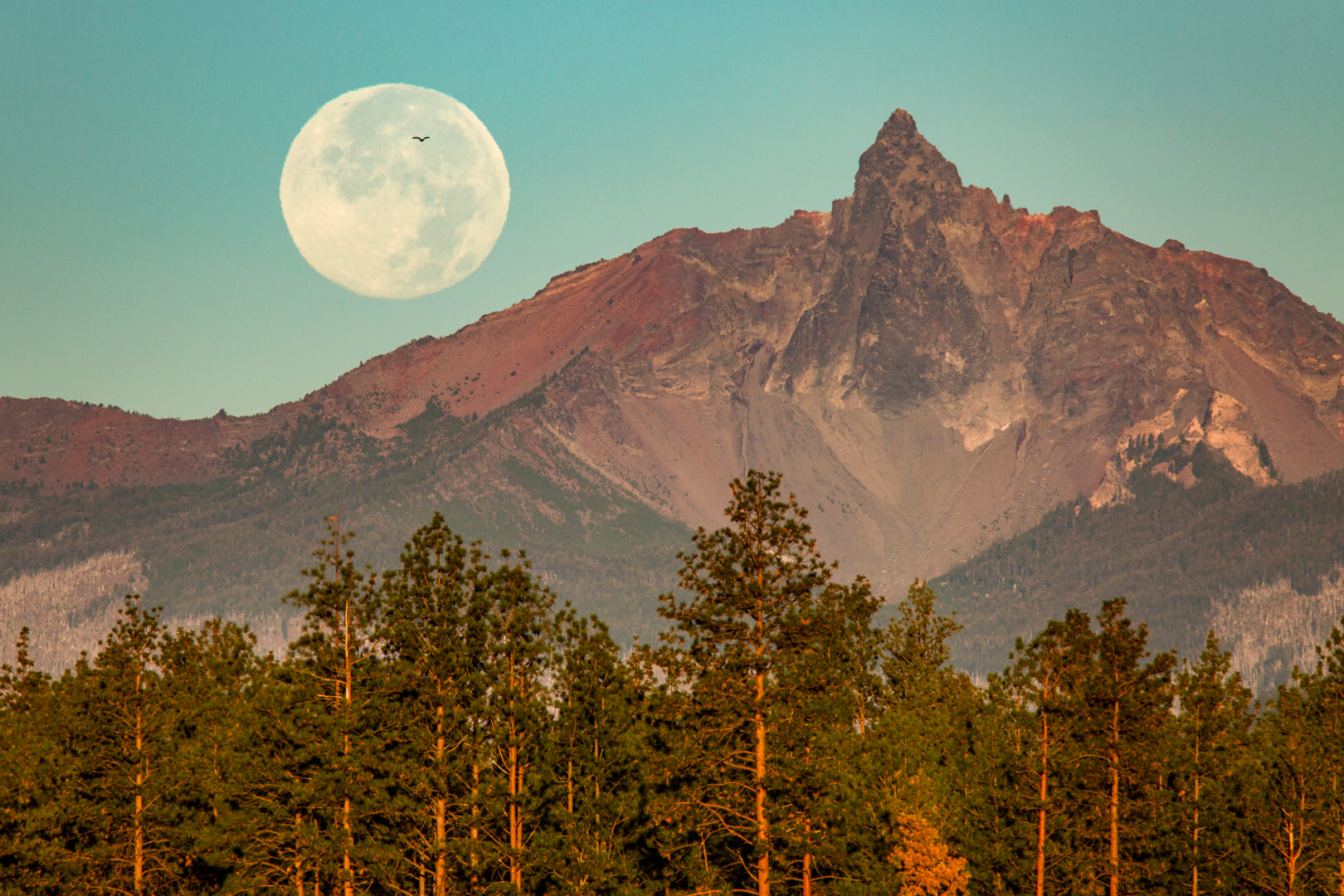 MOON WITH BIRD