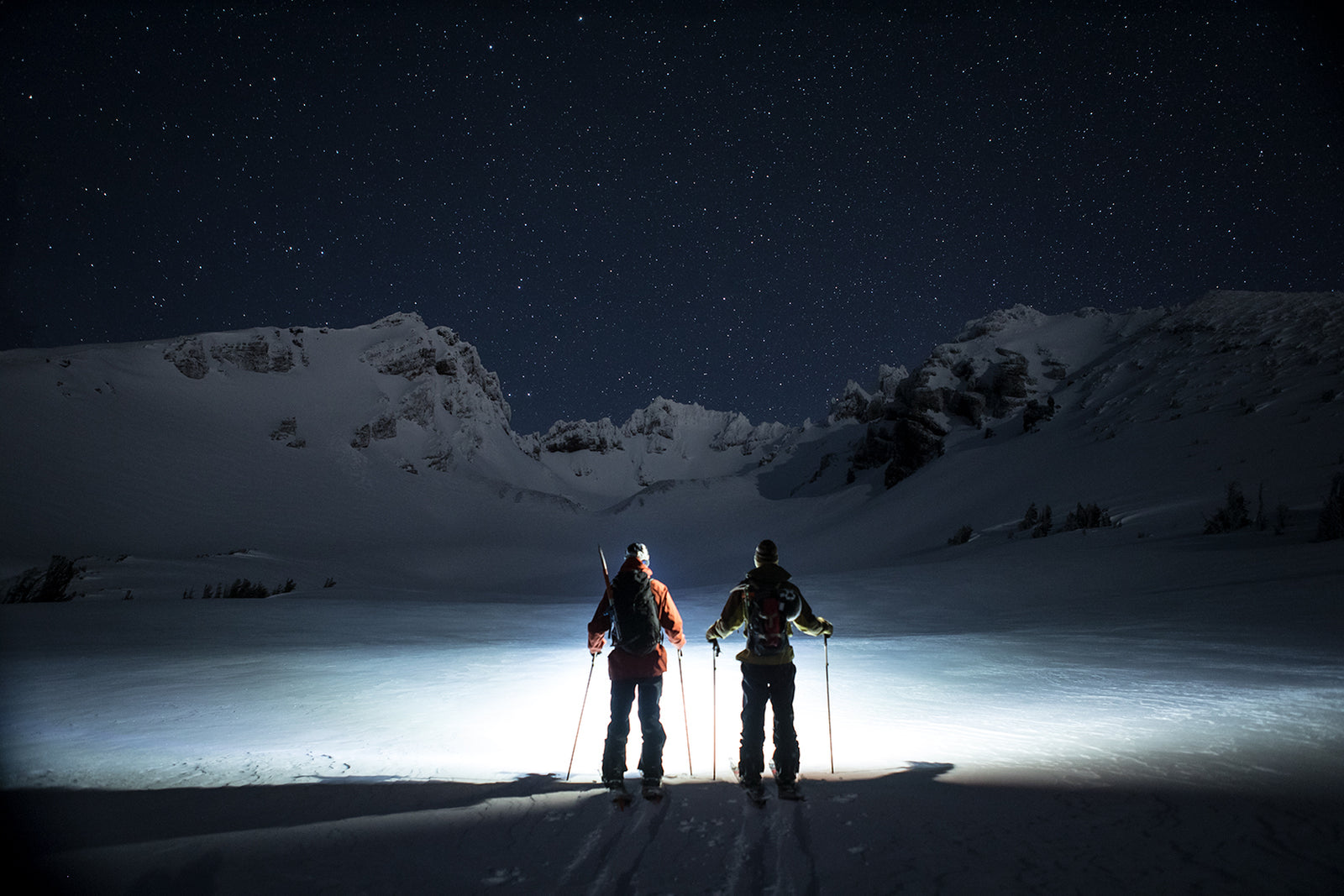 EARLY BIRD GETS THE WORM