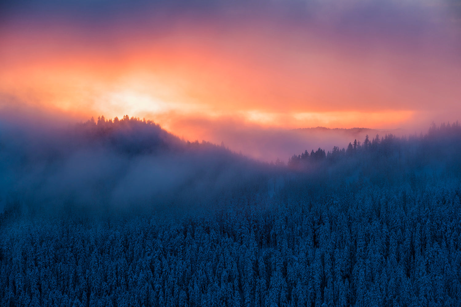 COLD SUNSET