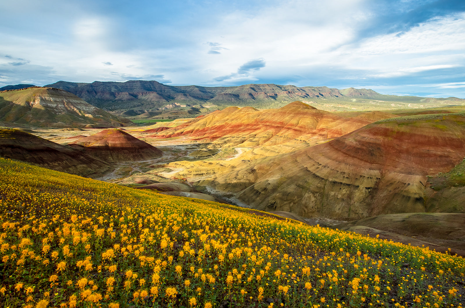 PAINTED HILLS WILDFLOWER SUNSET