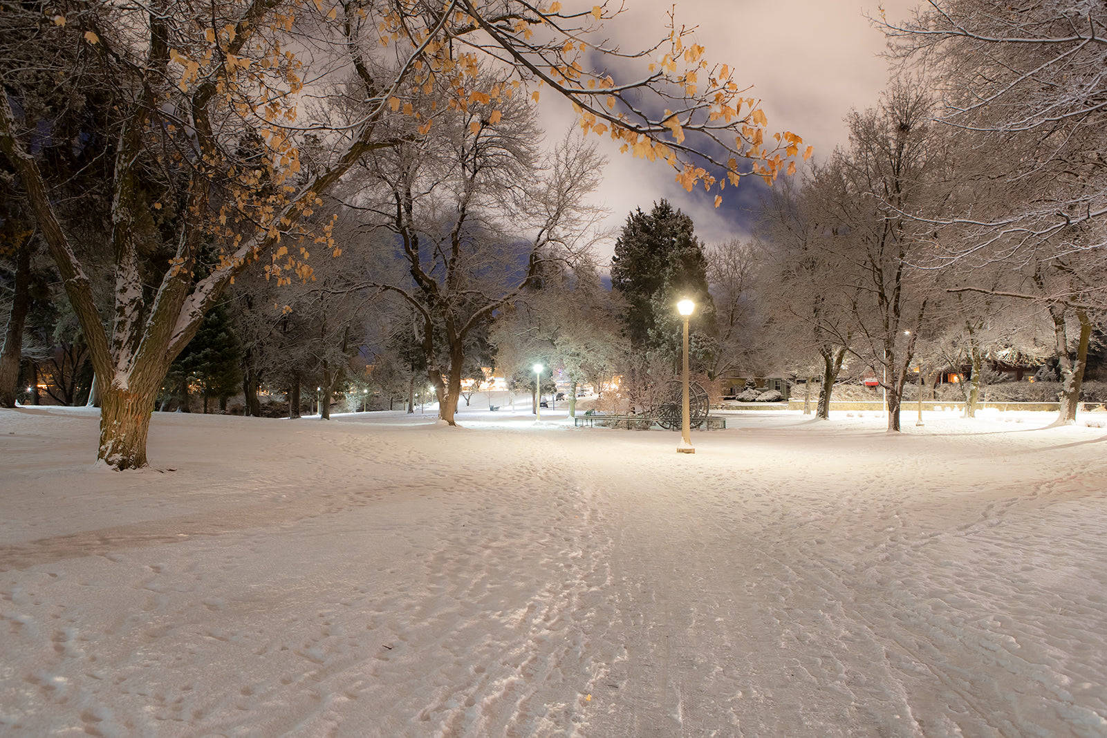 SNOWY PATH
