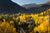 MOUNTAIN TOWN ASPENS