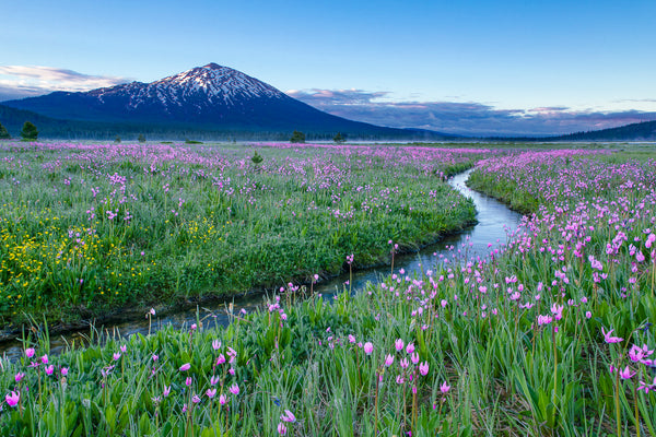 2022_7_4_SPARKS_LAKE_SUNRISE_S