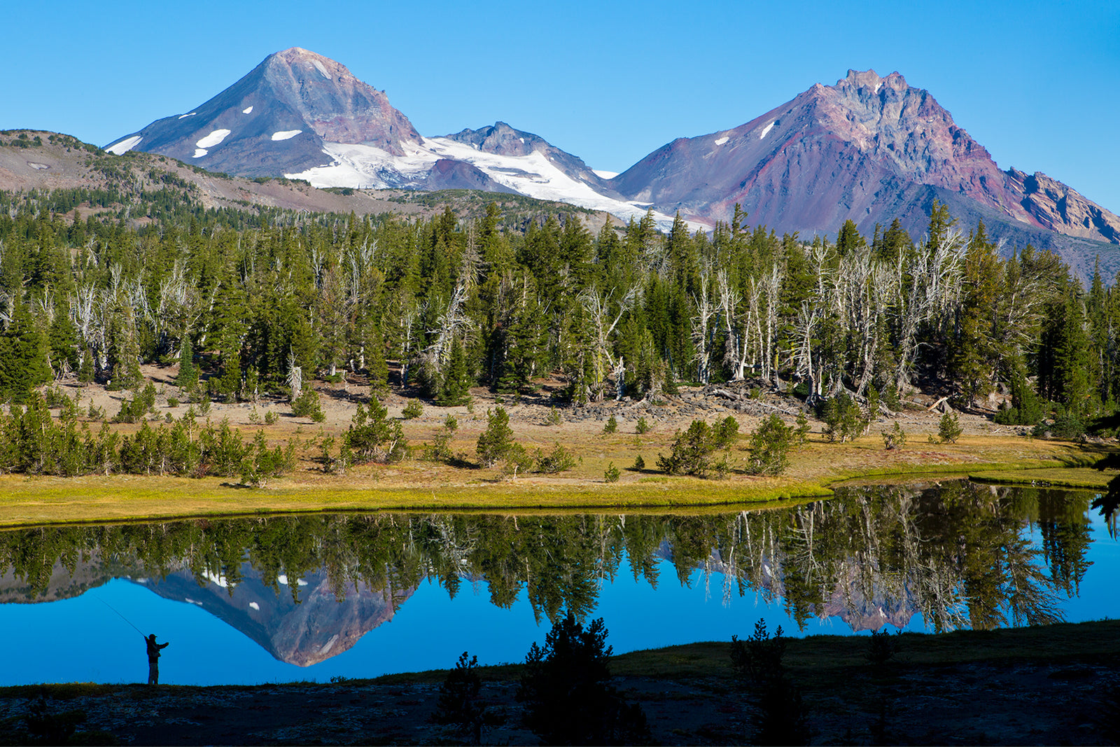 FLY FISHING REFLECTIONS